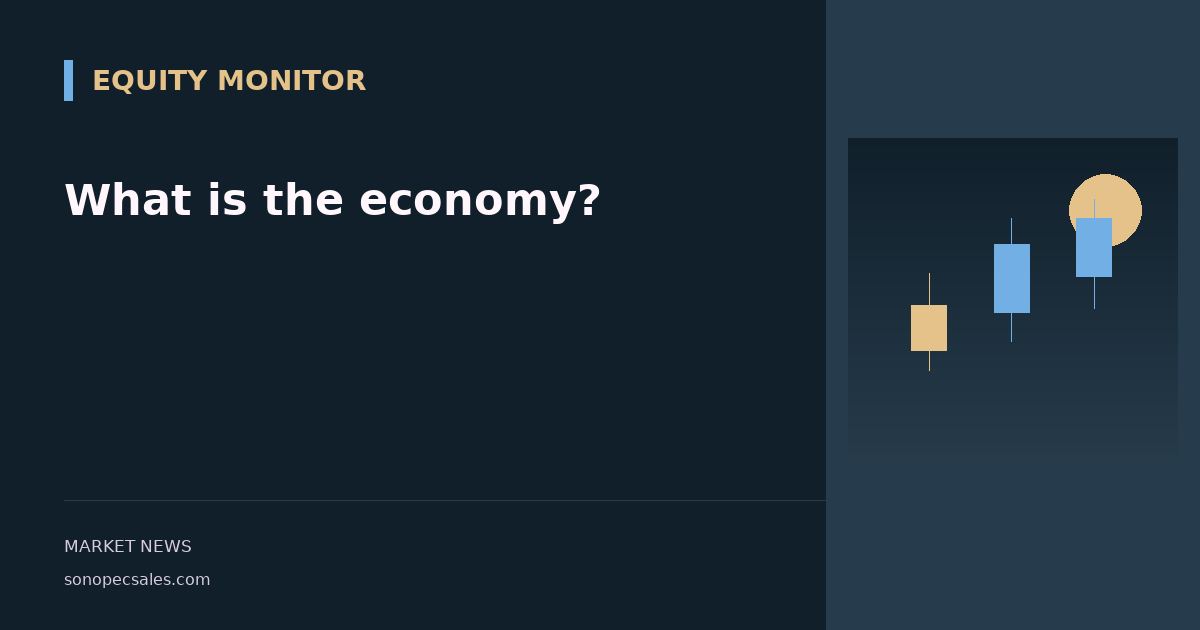 What is the economy?